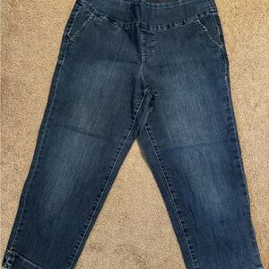 Jag Jeans Women's Dark Blue Boyfriend Capris